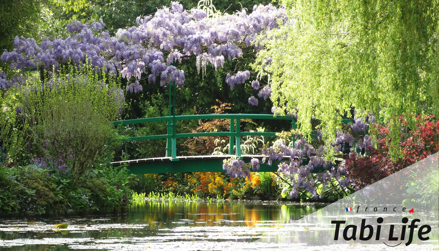 パリ近郊の隠れた名所！ジヴェルニーでモネの庭園と印象派の世界を堪能しよう